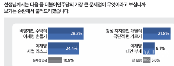 민주당 문제점